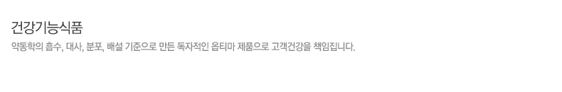 주력제품