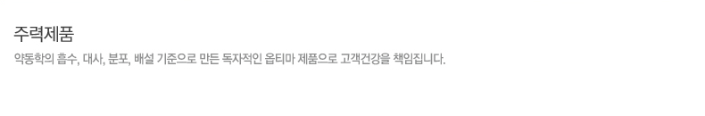 주력제품
